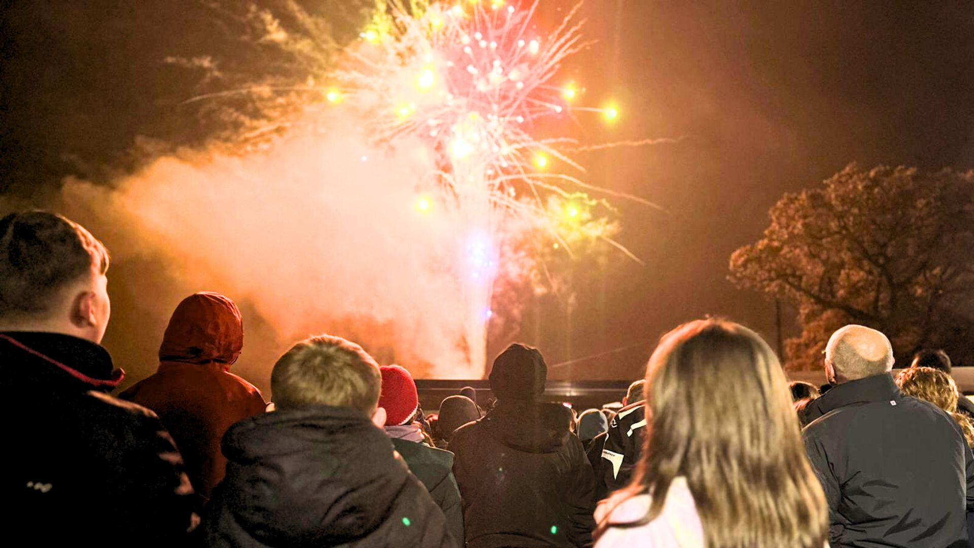 Mockingbird families at a firework display celebrating the first birthday